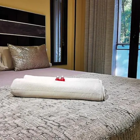 Apartament Ales *